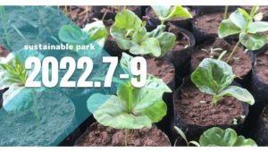 Read more about the article 2022.7-9 sustainable park activity