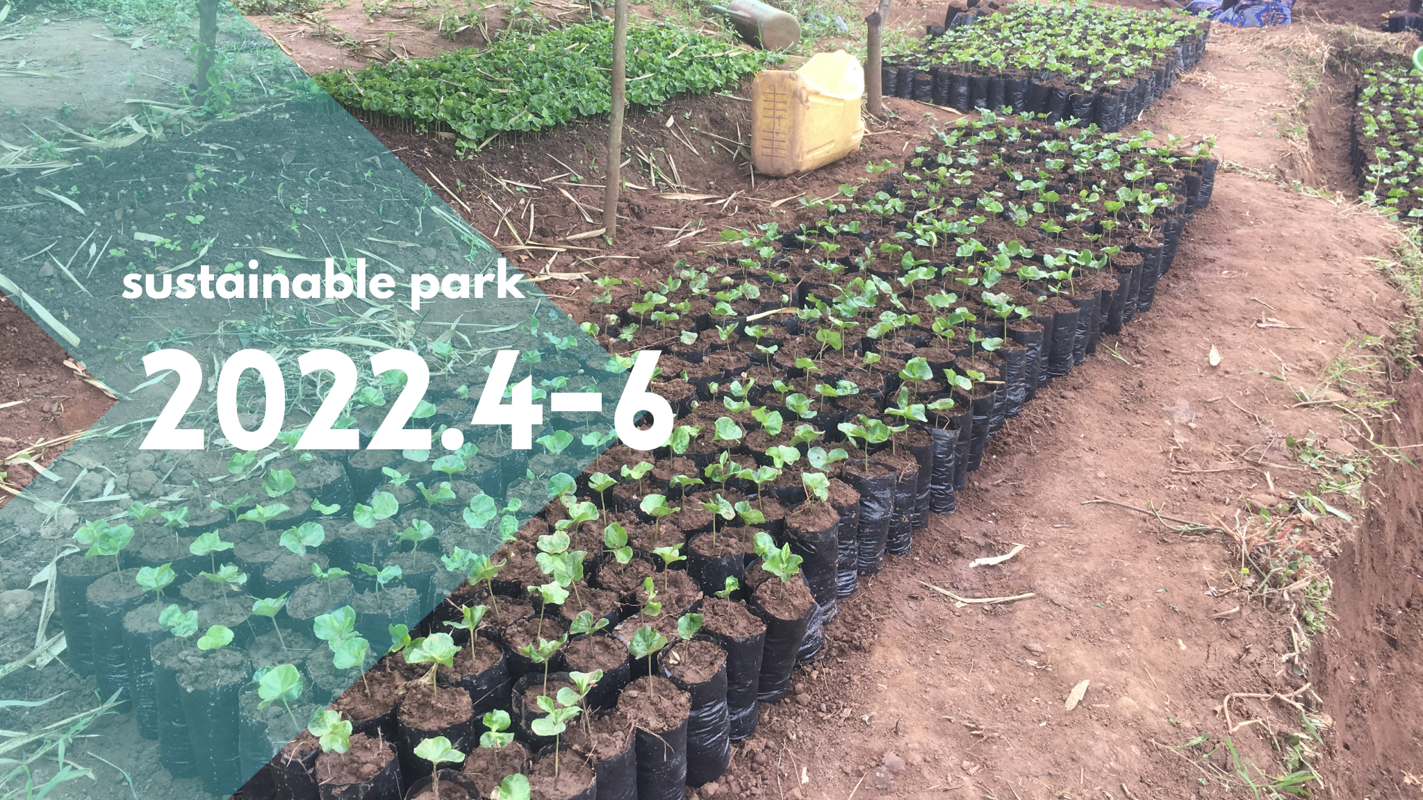 Read more about the article 2022.4-6 sustainable park activity