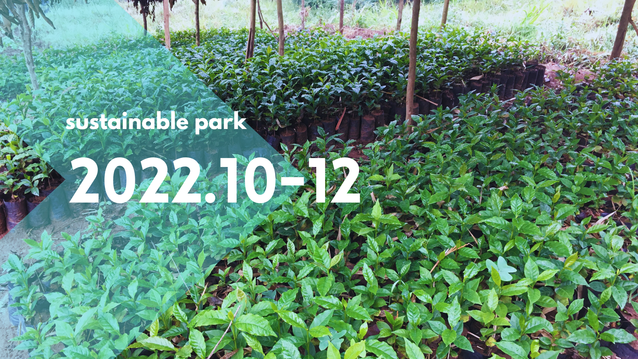 Read more about the article 2022.10-12 sustainable park activity
