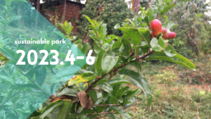 Read more about the article 2023.4-6 sustainable park activity