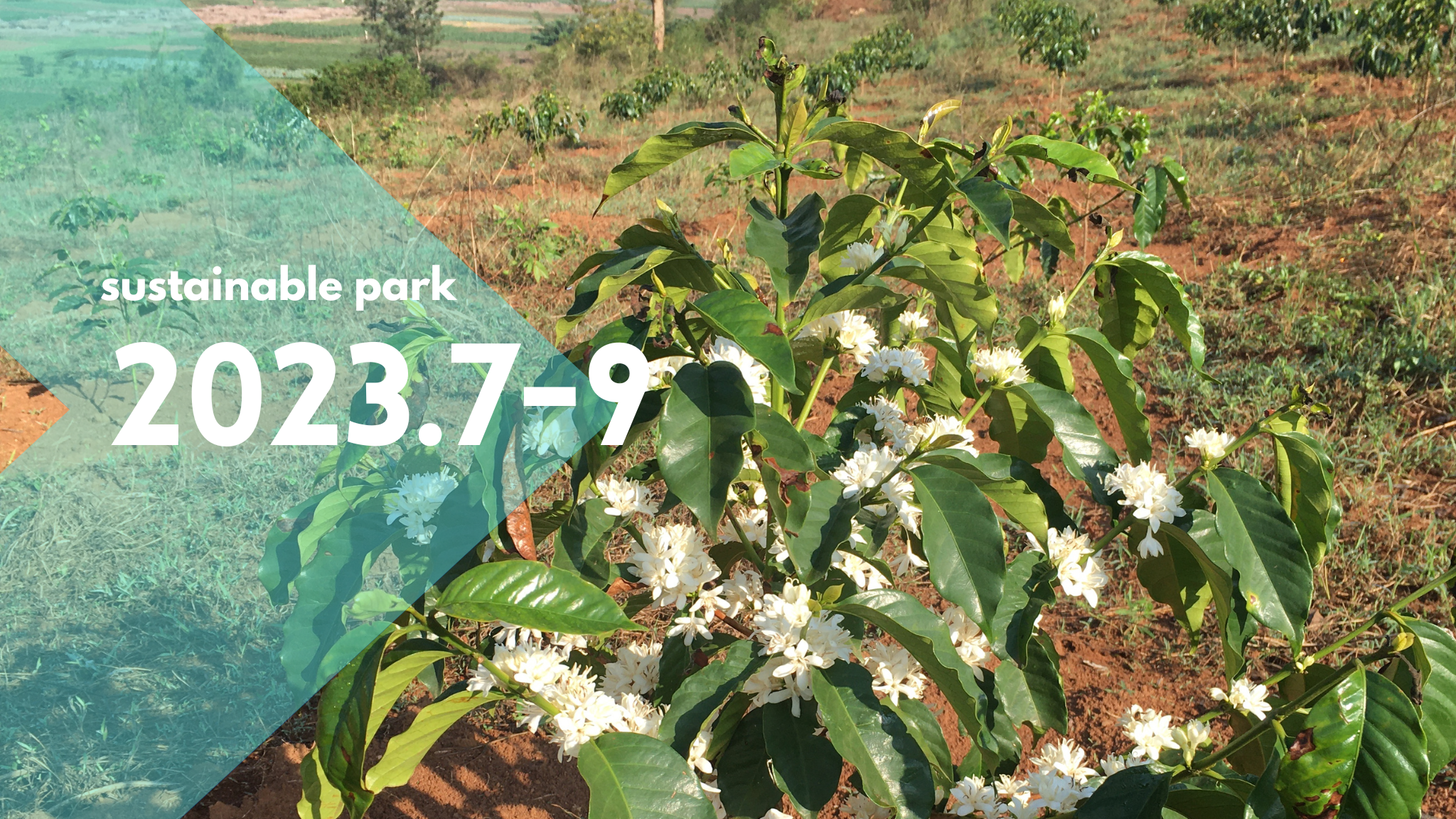 Read more about the article 2023.7-9 sustainable park activity