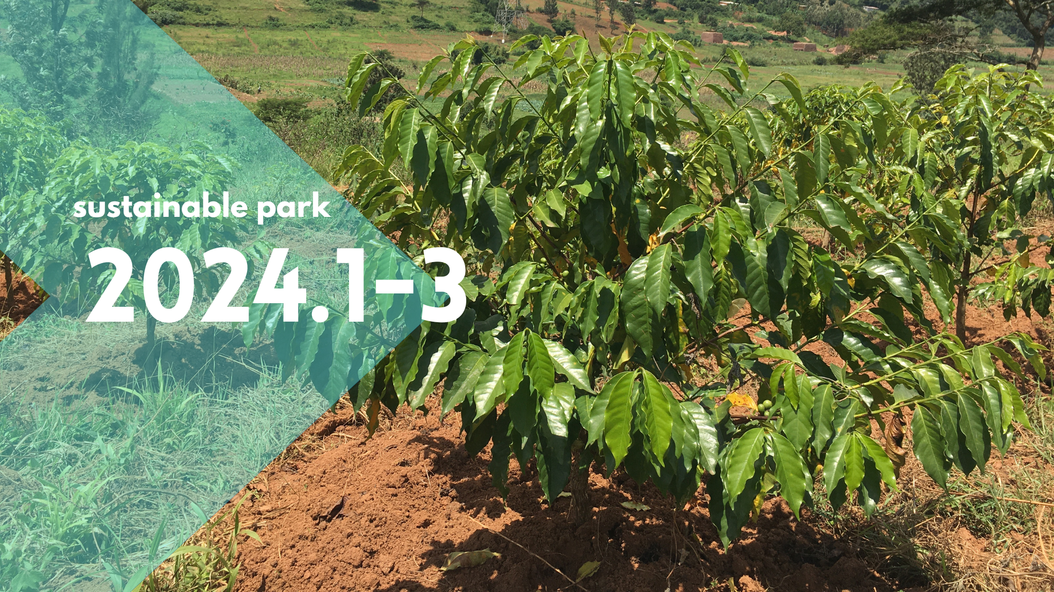 Read more about the article 2024.1-3 sustainable park activity