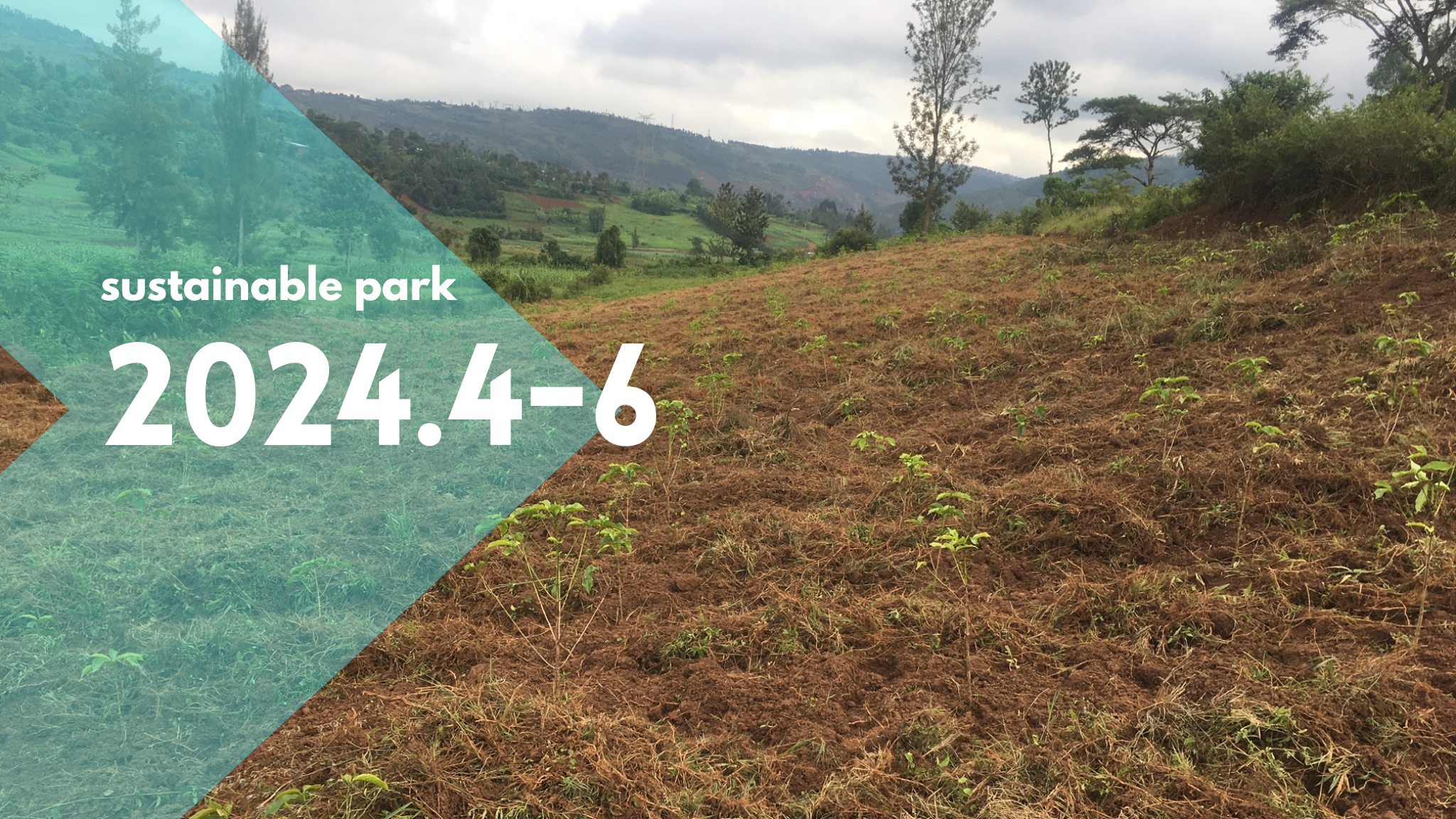 Read more about the article 2024.4-6 sustainable park activity