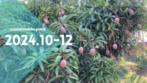 Read more about the article 2024.10-12 sustainable park activity