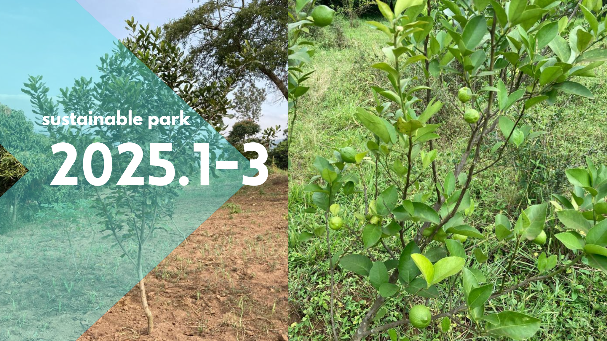 Read more about the article 2025.1-3 sustainable park activity