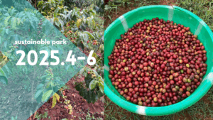 Read more about the article 2025.4-6 sustainable park activity