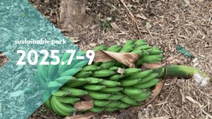 Read more about the article 2025.7-9 sustainable park activity