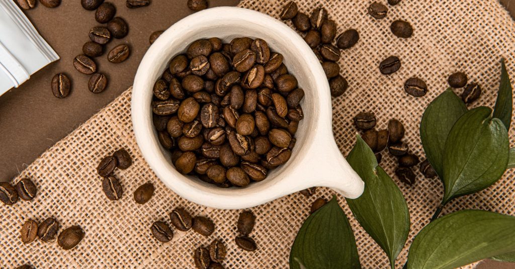 sustainable park (1)